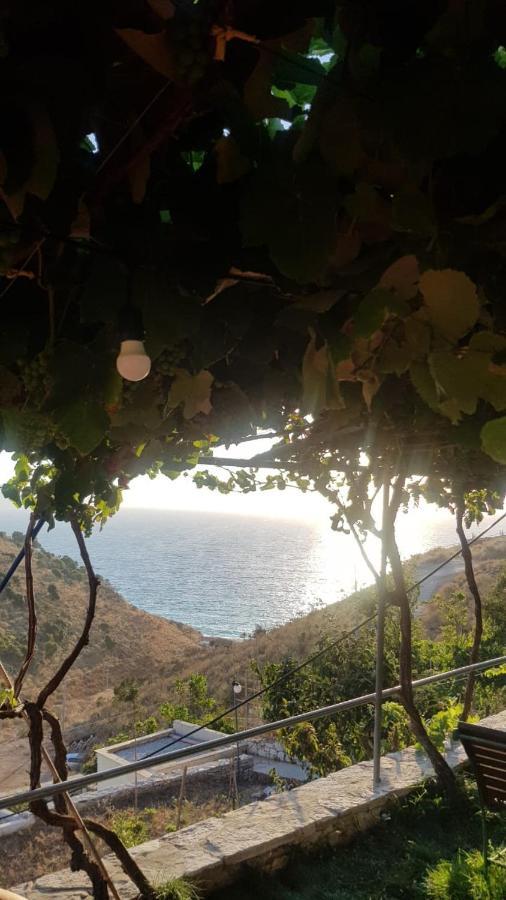 Hébergement de vacances Orizzonte Blue *